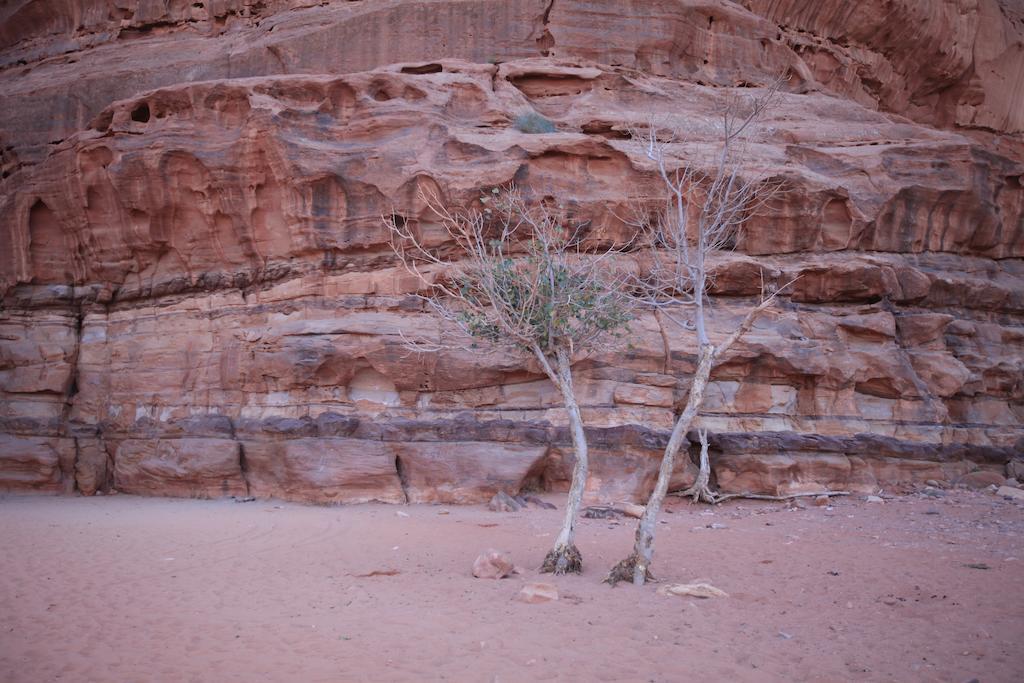 Bedouin Expedition Wadi Rum Eksteriør billede
