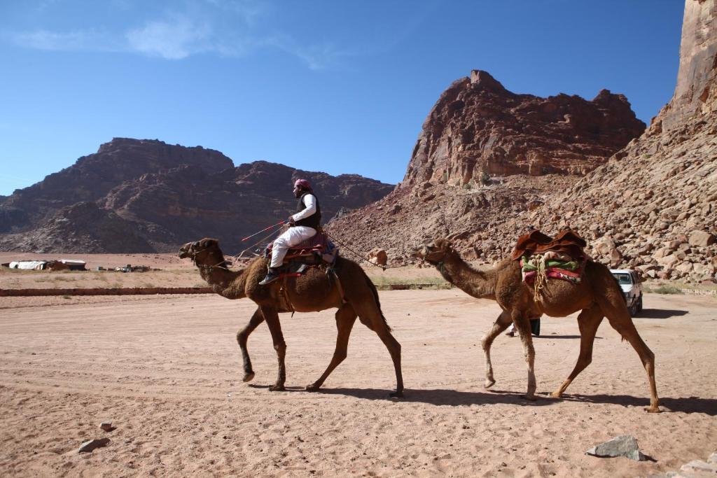 Bedouin Expedition Wadi Rum Eksteriør billede