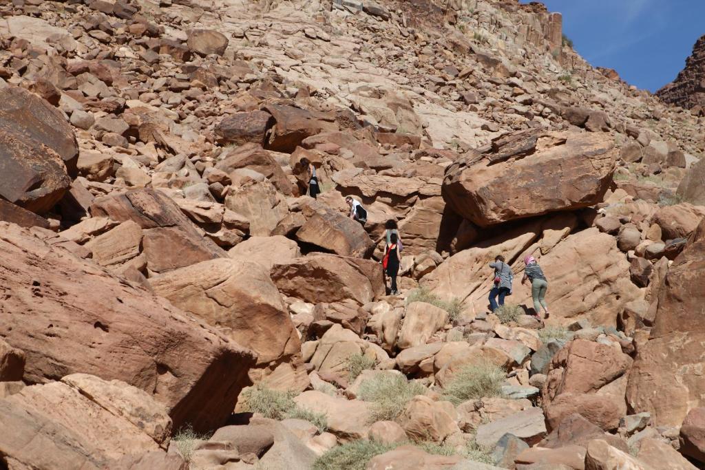 Bedouin Expedition Wadi Rum Eksteriør billede