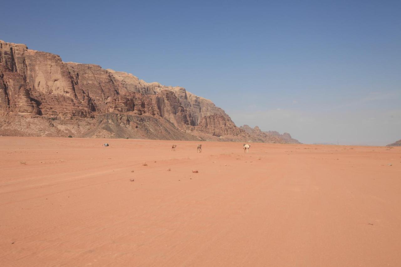 Bedouin Expedition Wadi Rum Eksteriør billede